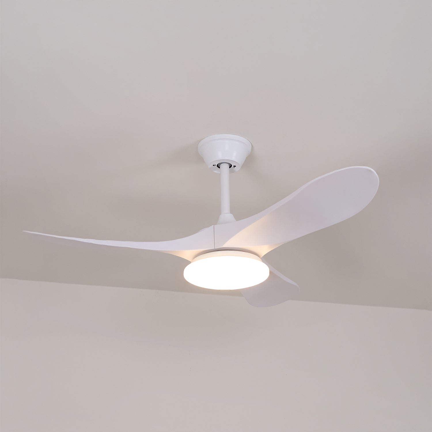 Elorian Ceiling Fan Light