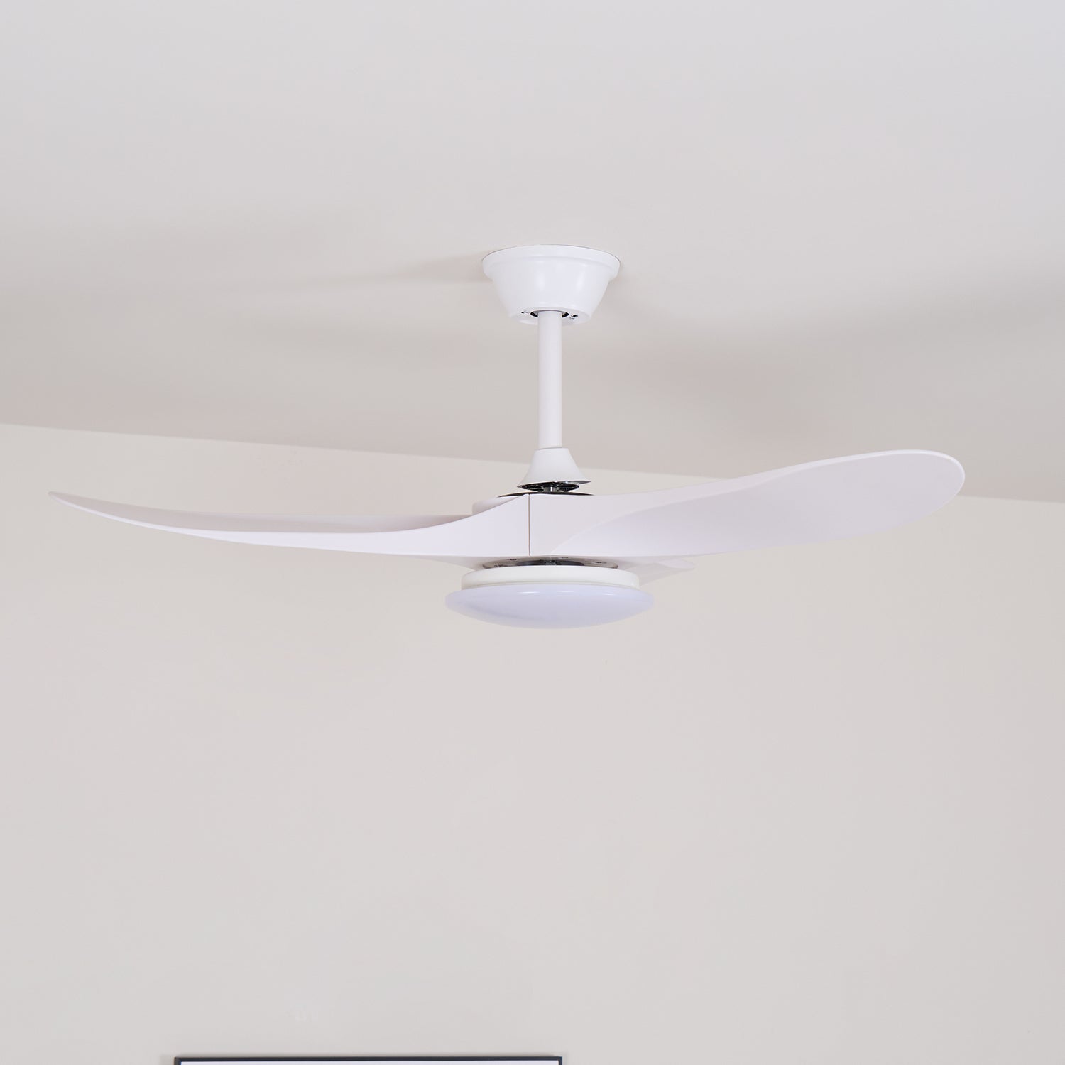 Elorian Ceiling Fan Light
