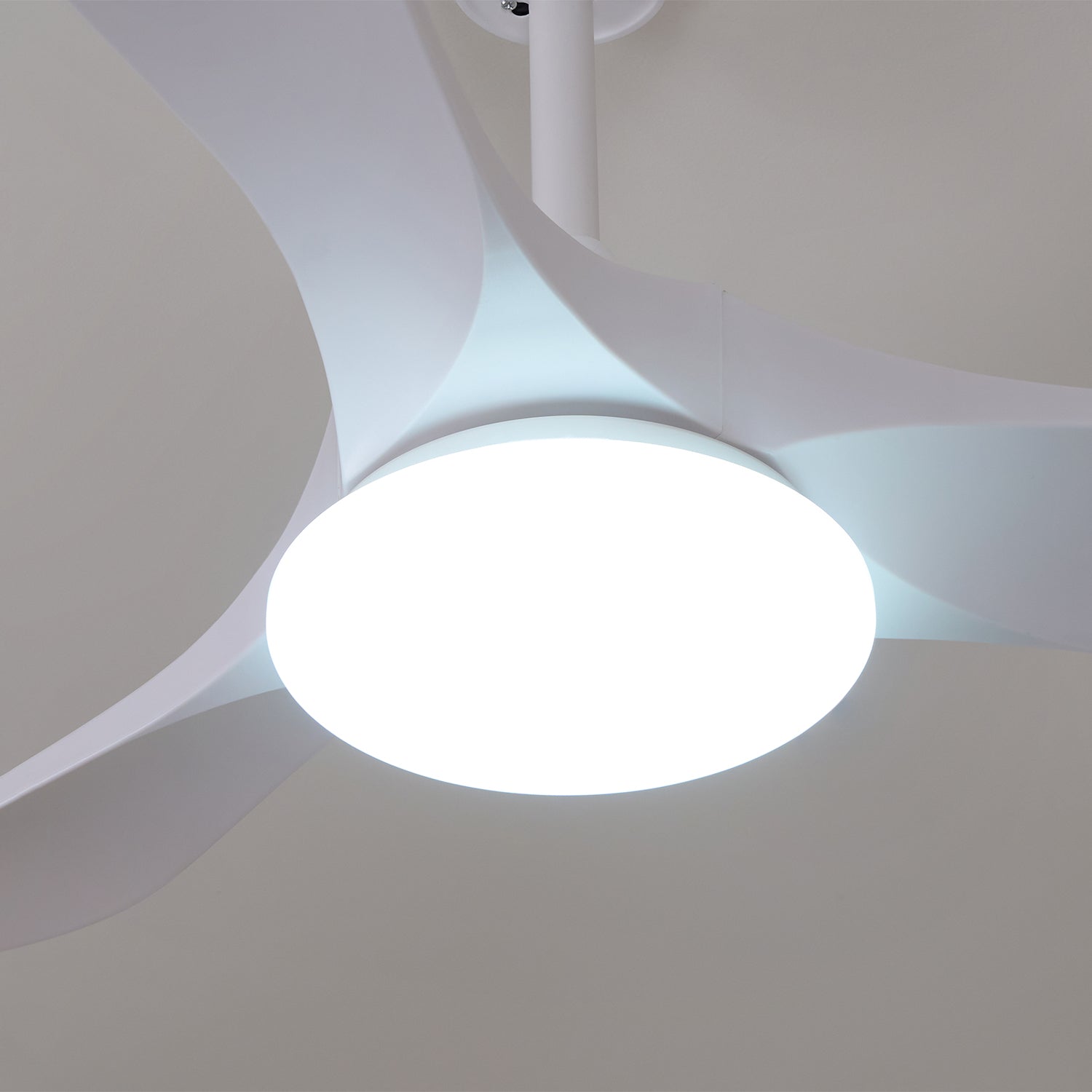 Elorian Ceiling Fan Light