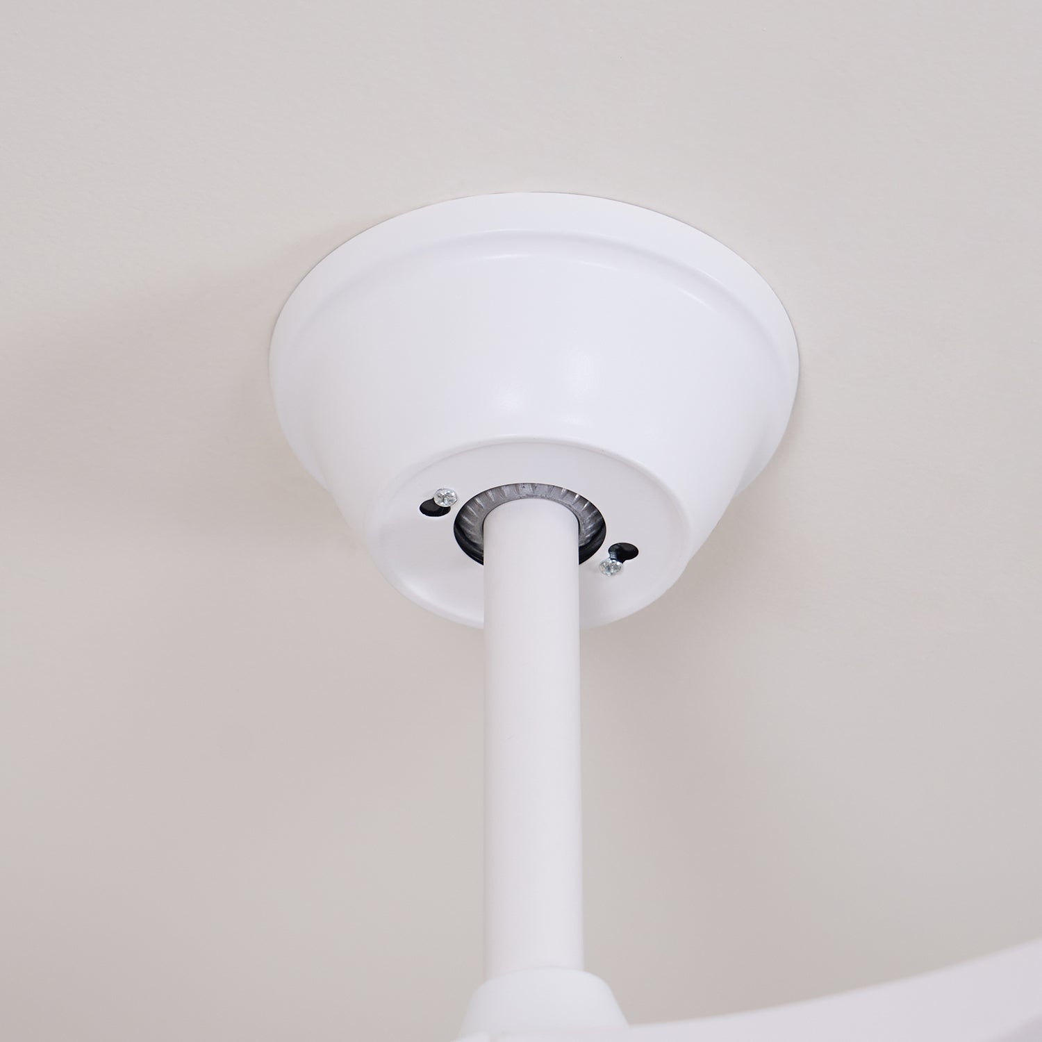 Elorian Ceiling Fan Light