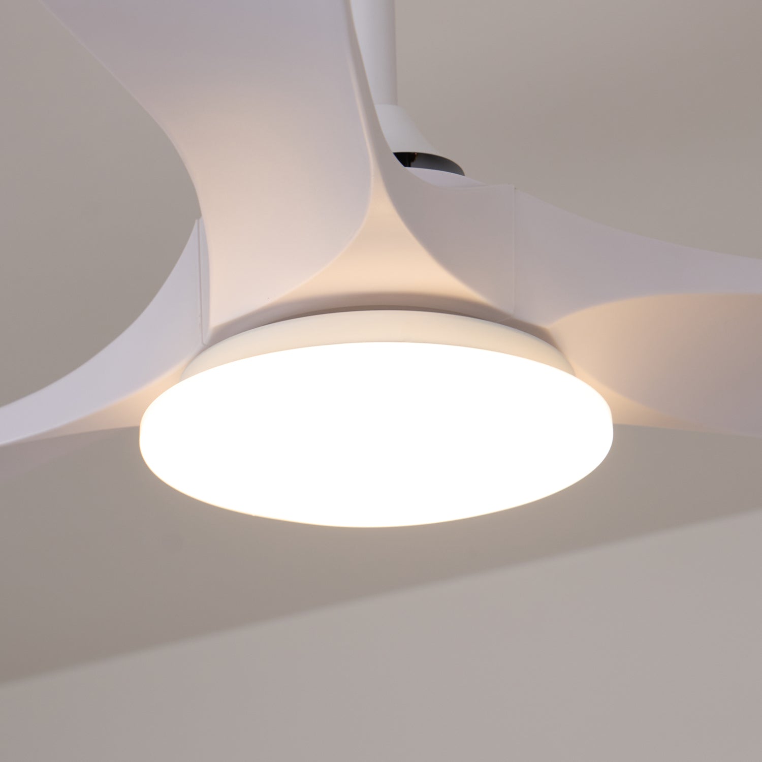 Elorian Ceiling Fan Light