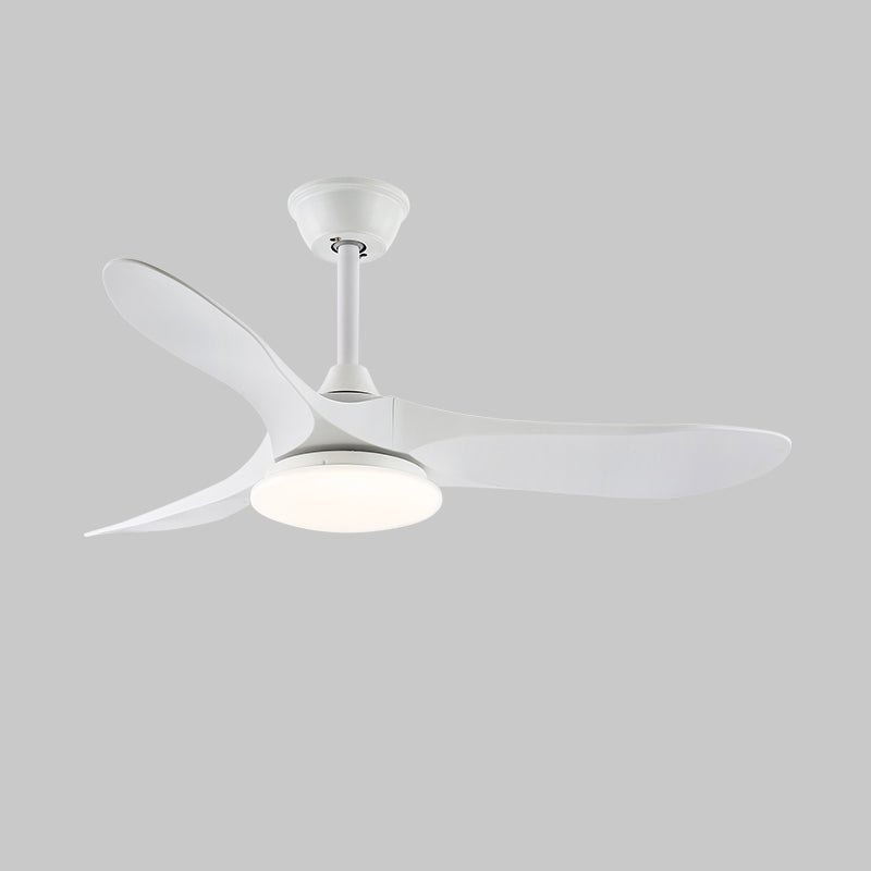 Elorian Ceiling Fan Light
