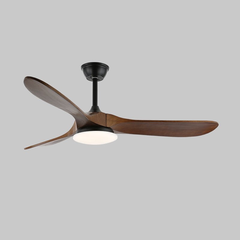 Elorian Ceiling Fan Light