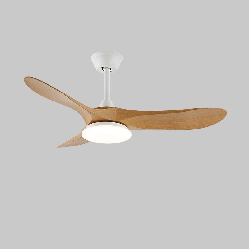 Elorian Ceiling Fan Light