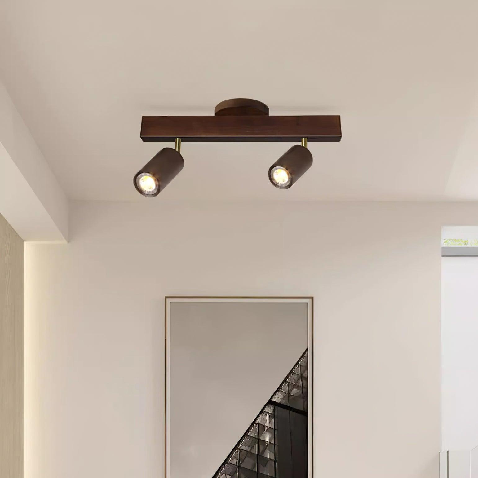 Sonir Ceiling Light