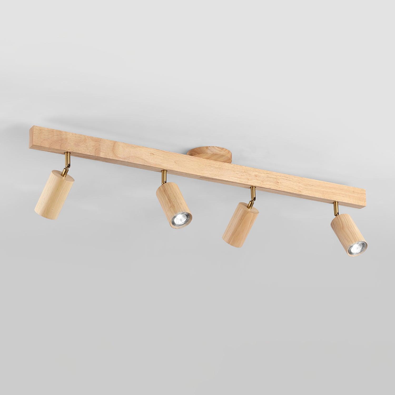 Sonir Ceiling Light