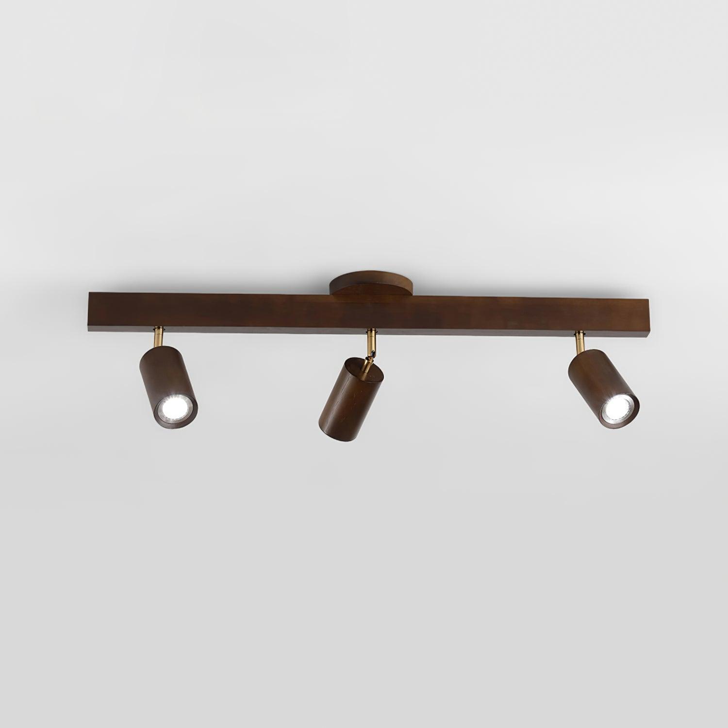 Sonir Ceiling Light