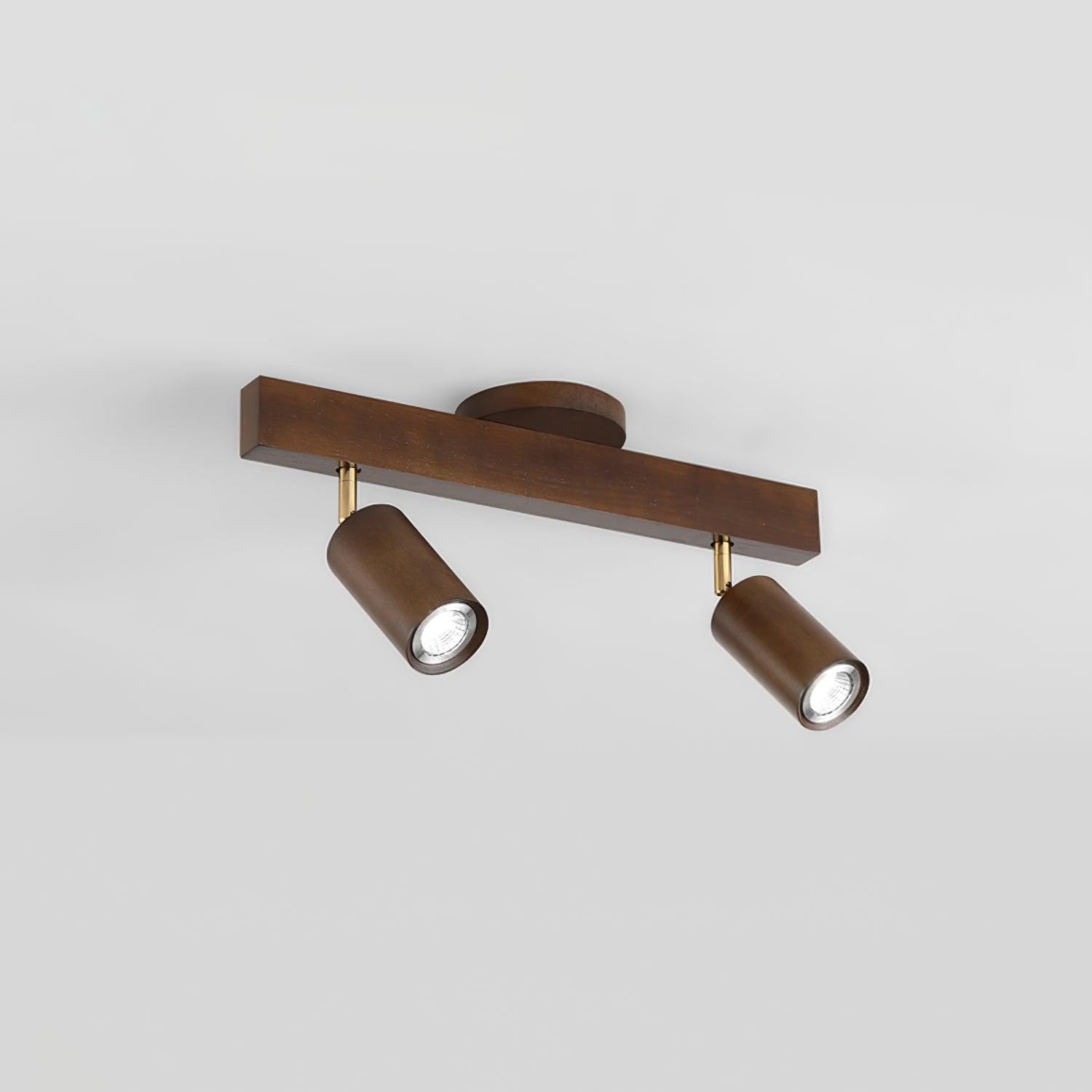 Sonir Ceiling Light