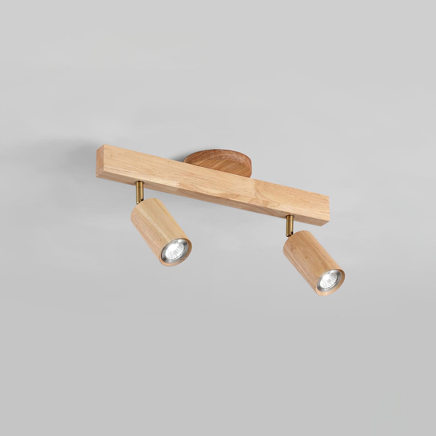 Sonir Ceiling Light