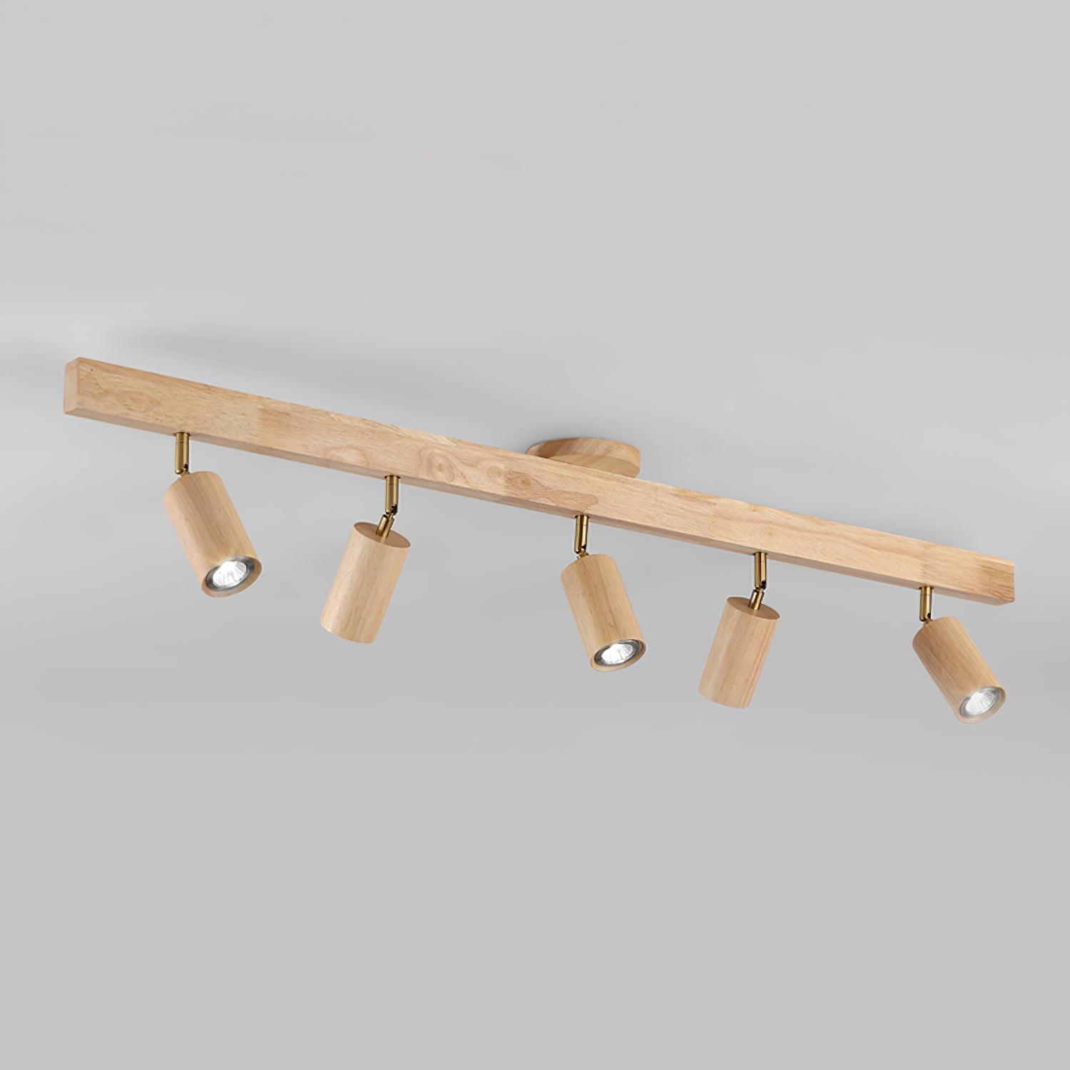 Sonir Ceiling Light
