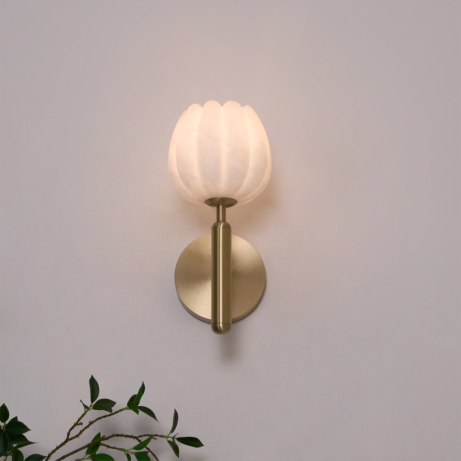Rerpando Wall Light
