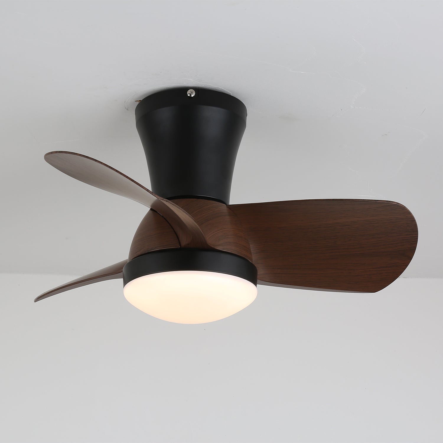 Sreeva Ceiling Fan Light