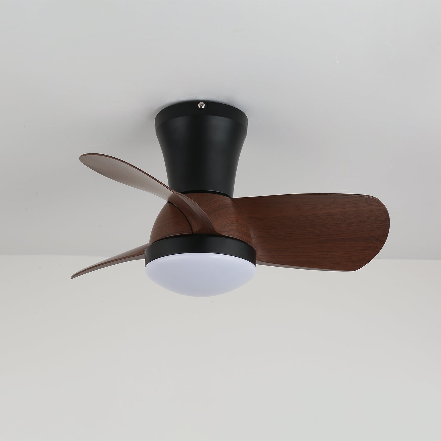 Sreeva Ceiling Fan Light