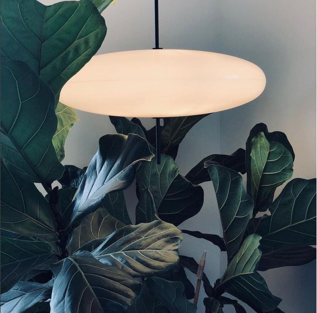Barizis Disc Pendant Light