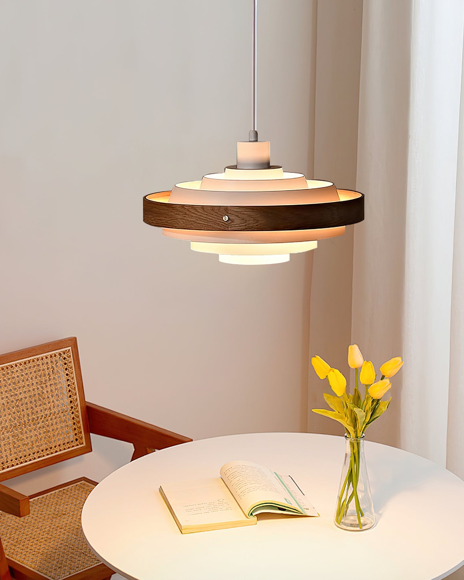 Ardanio Drum Pendant Light