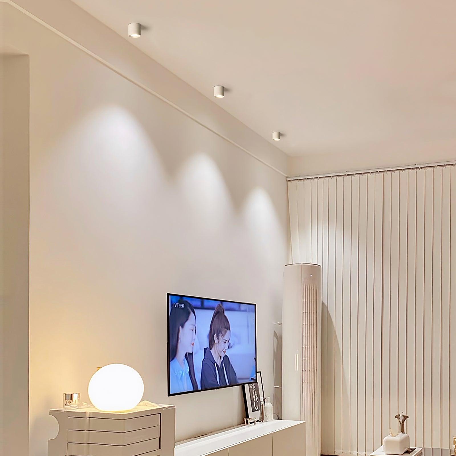 Ulro Ceiling Light