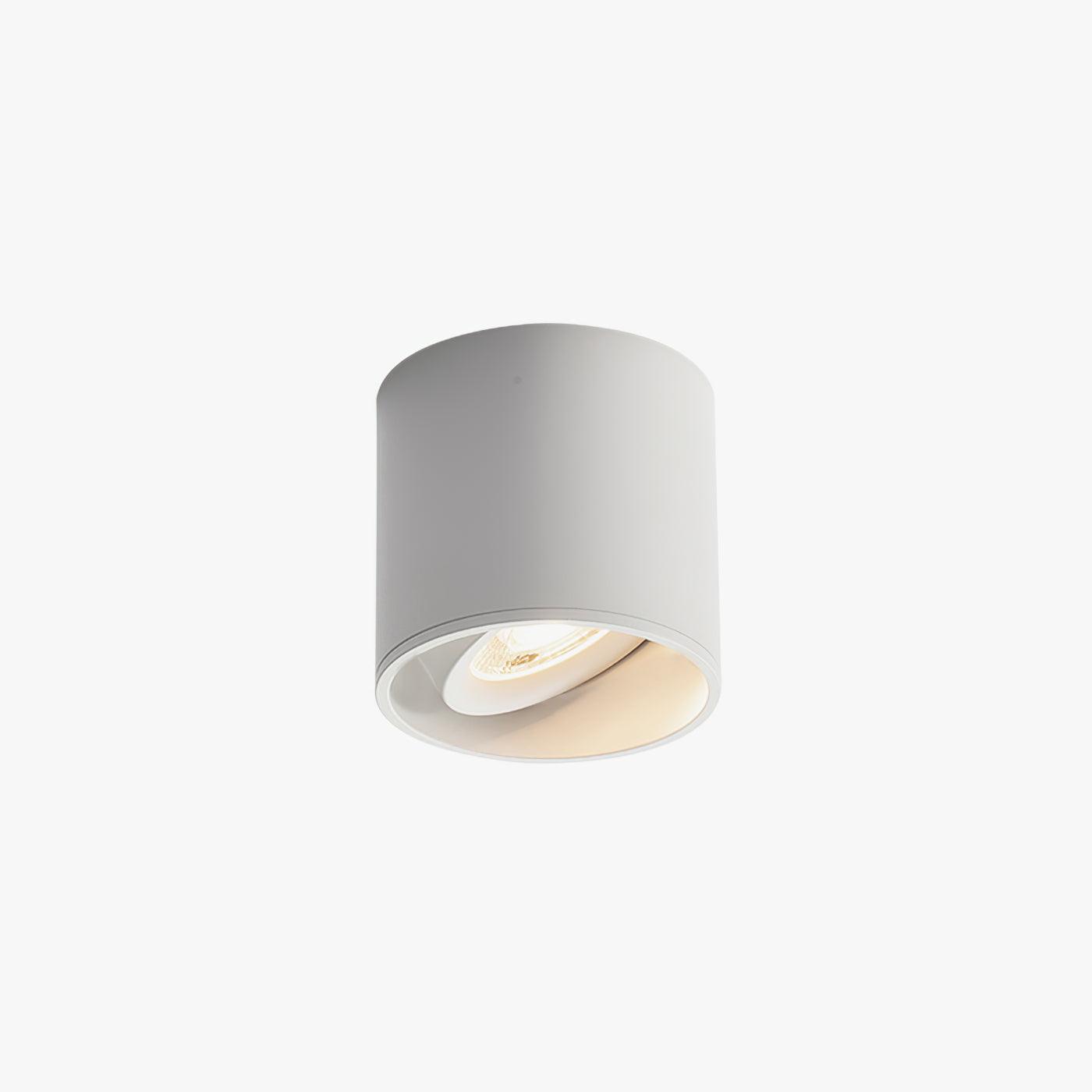 Ulro Ceiling Light