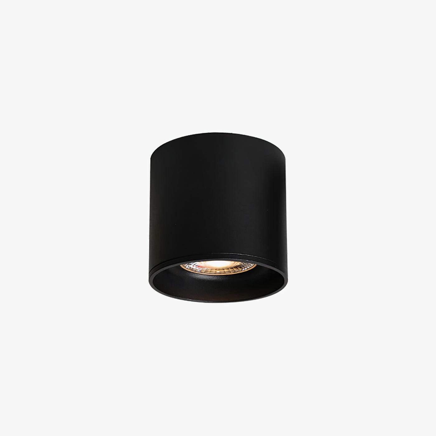 Ulro Ceiling Light