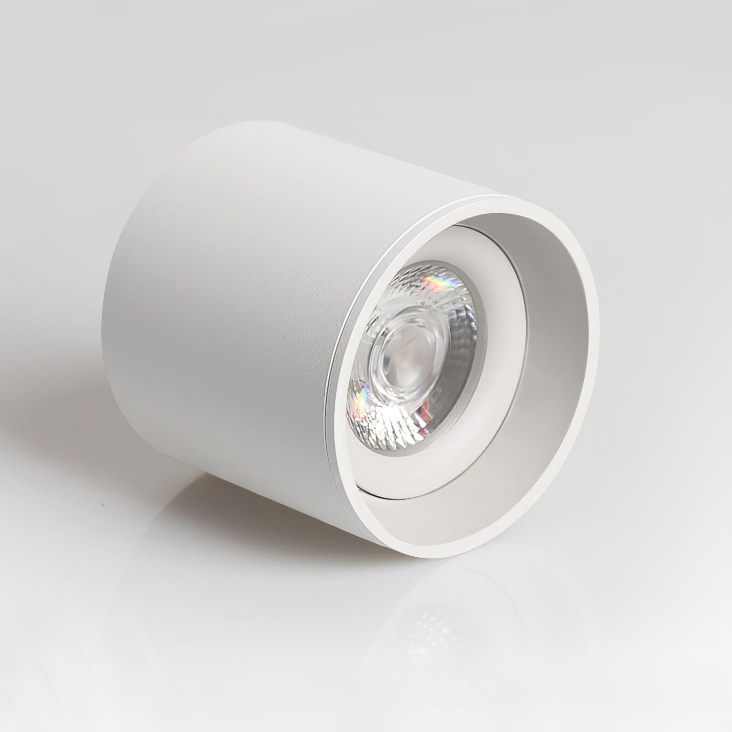 Ulro Ceiling Light