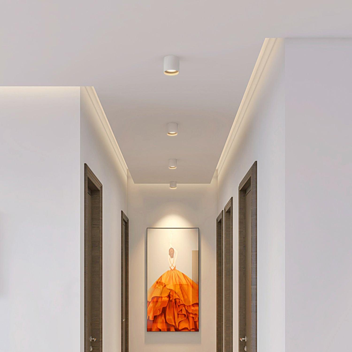 Ulro Ceiling Light