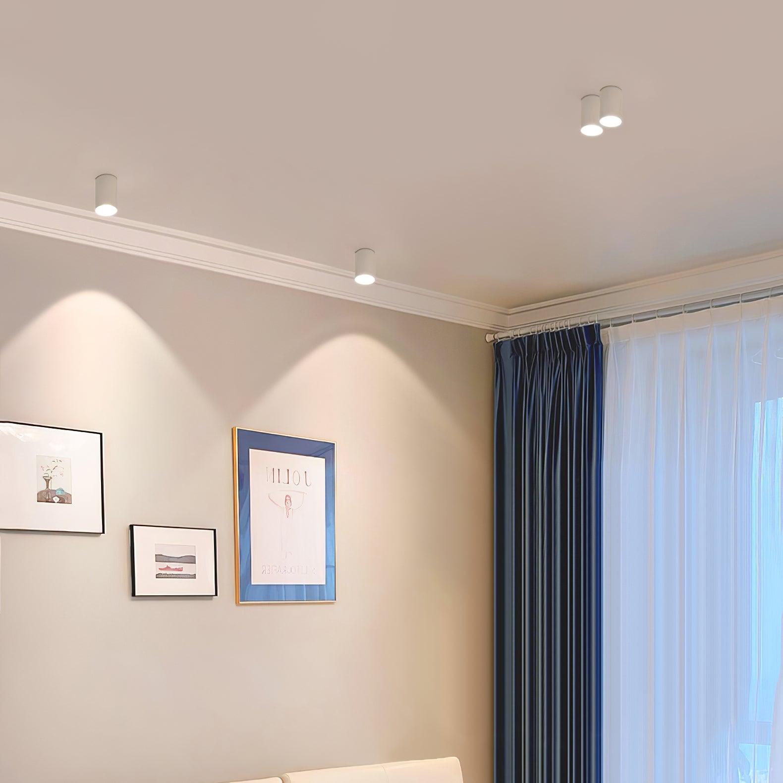 Ulro Ceiling Light