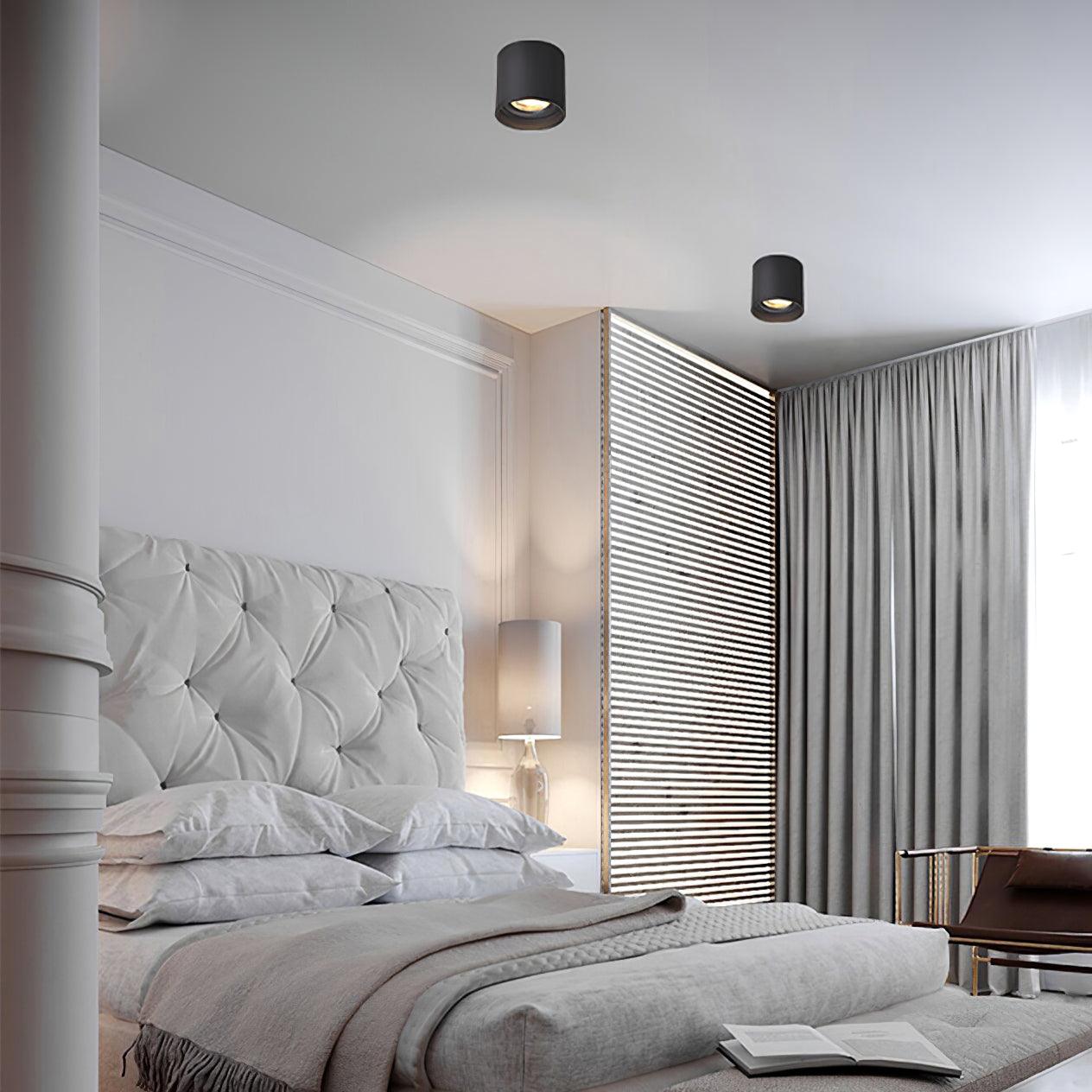 Ulro Ceiling Light