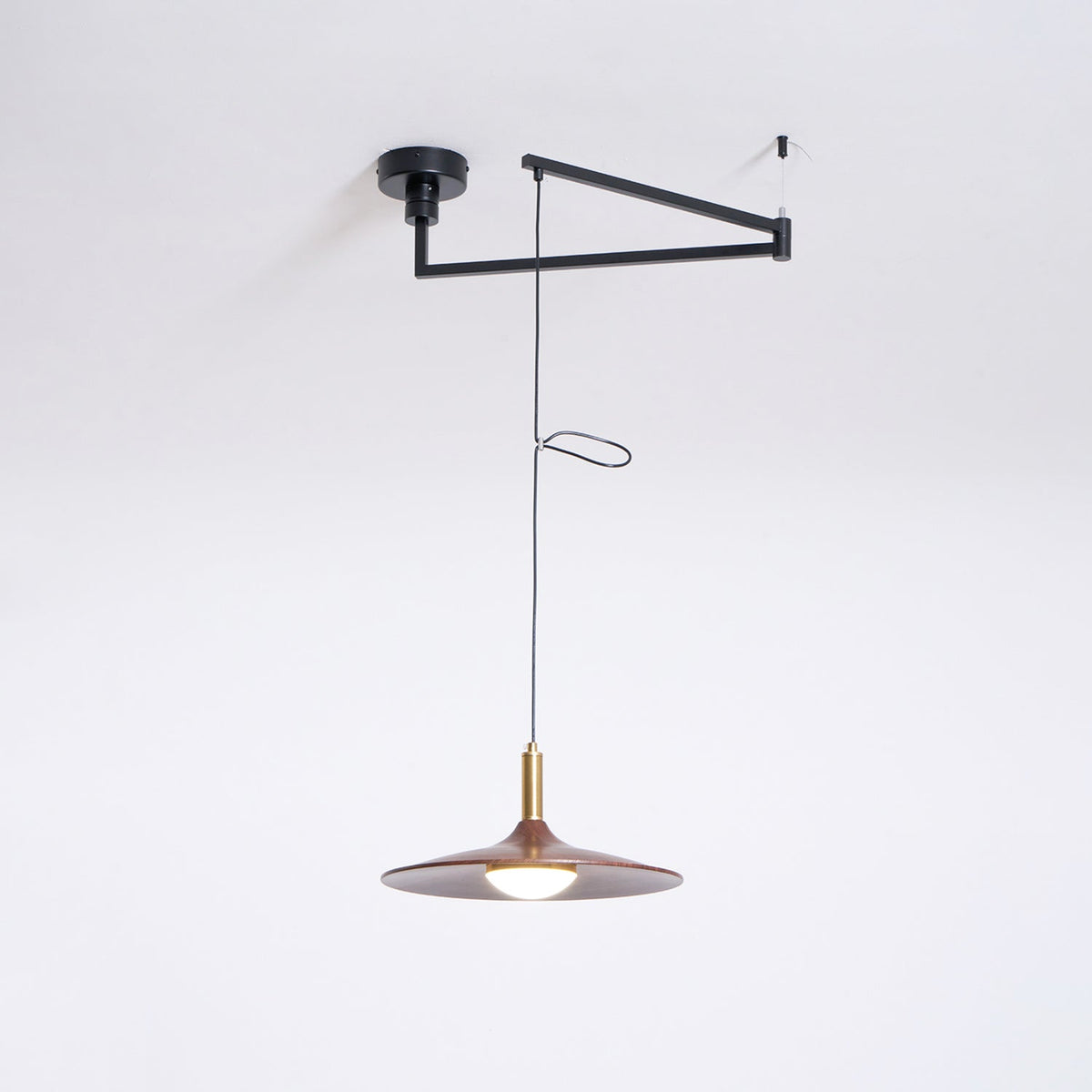 Oravor Articulated Pendant Light