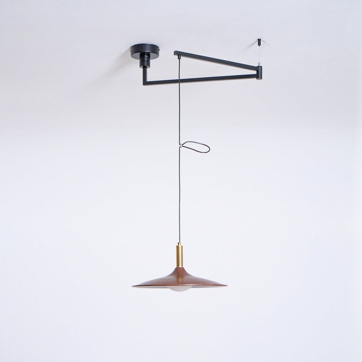 Oravor Articulated Pendant Light