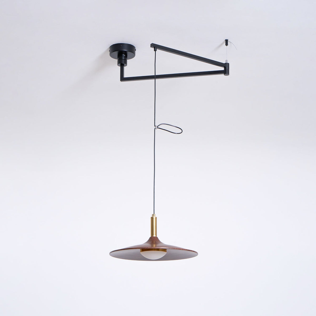 Oravor Articulated Pendant Light