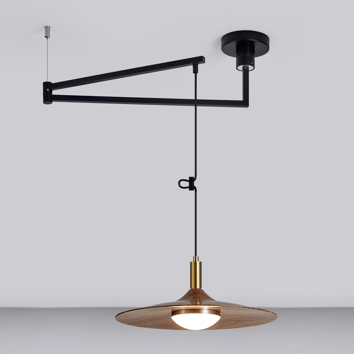 Oravor Articulated Pendant Light