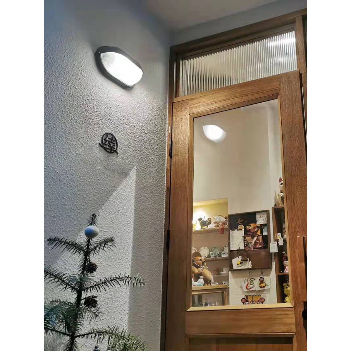 Aroni Outdoor Wall Light