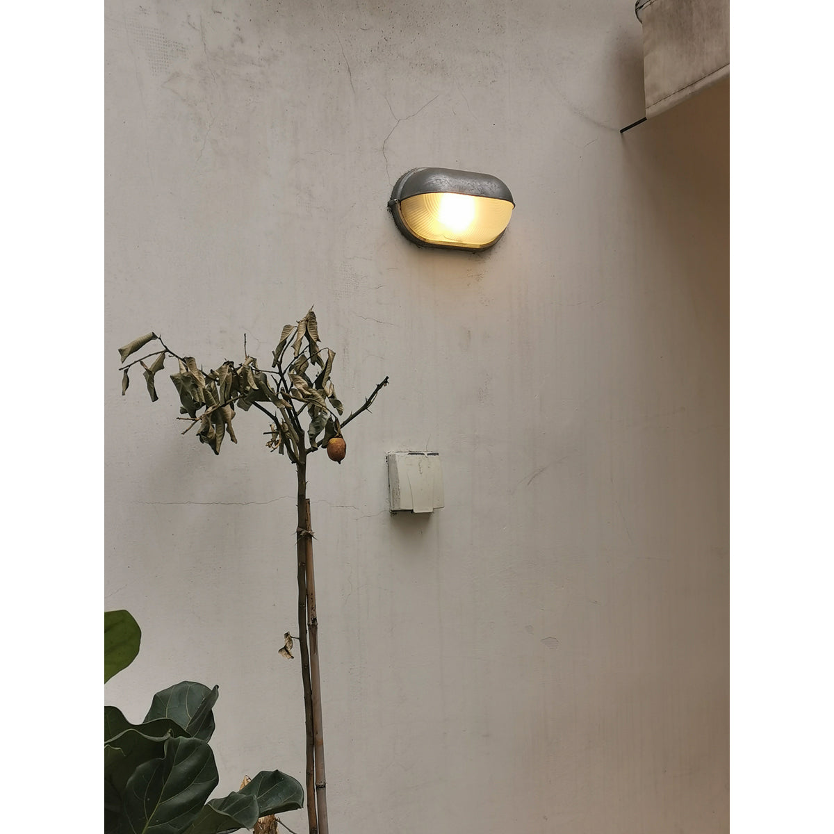 Aroni Outdoor Wall Light
