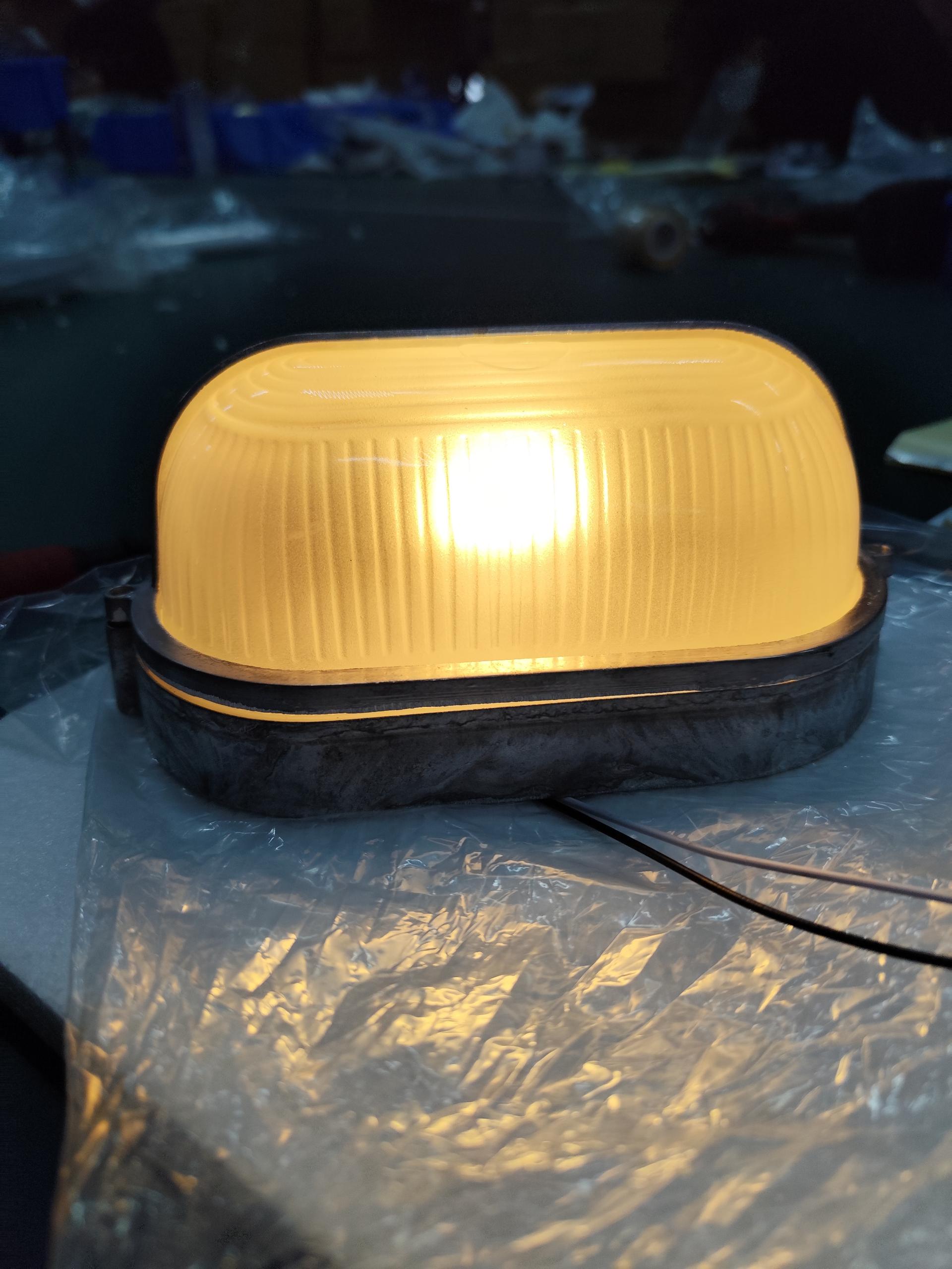 Aroni Outdoor Wall Light