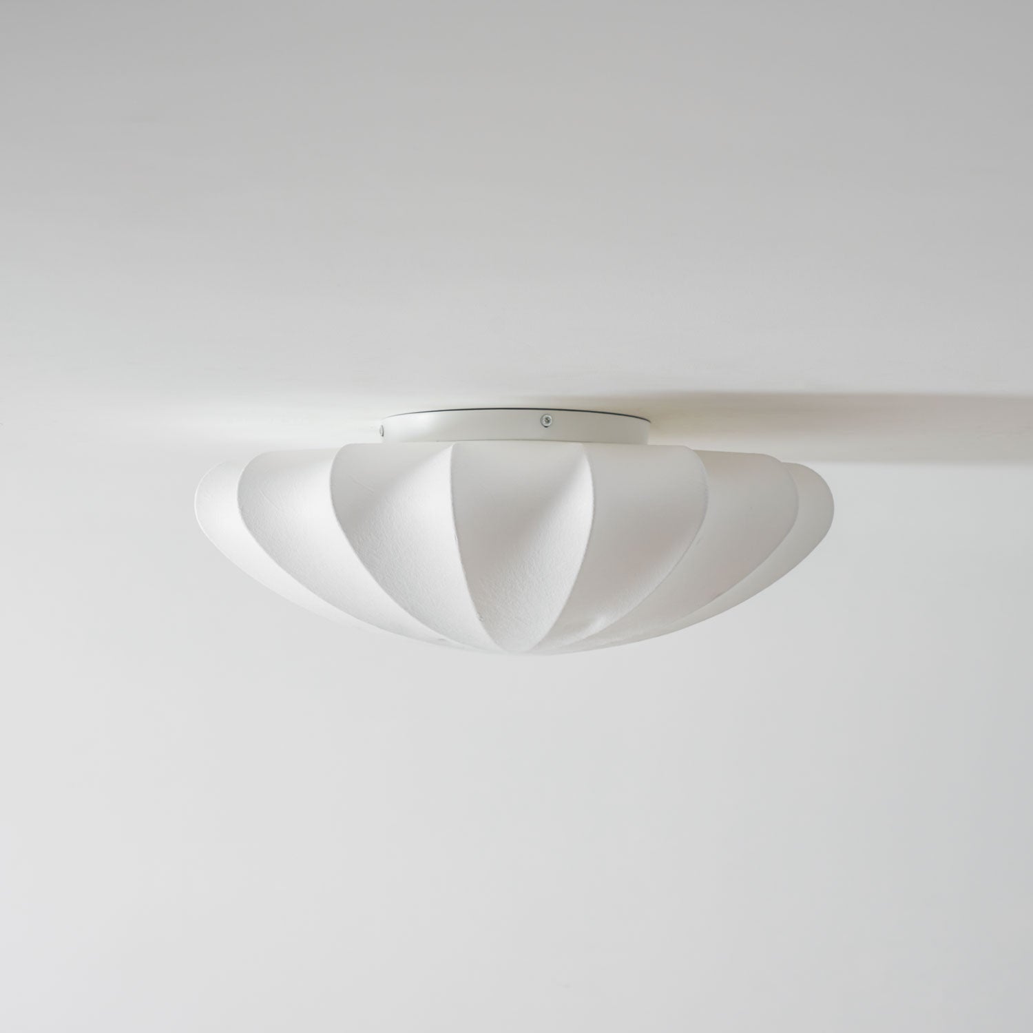 Selfon Ceiling Light