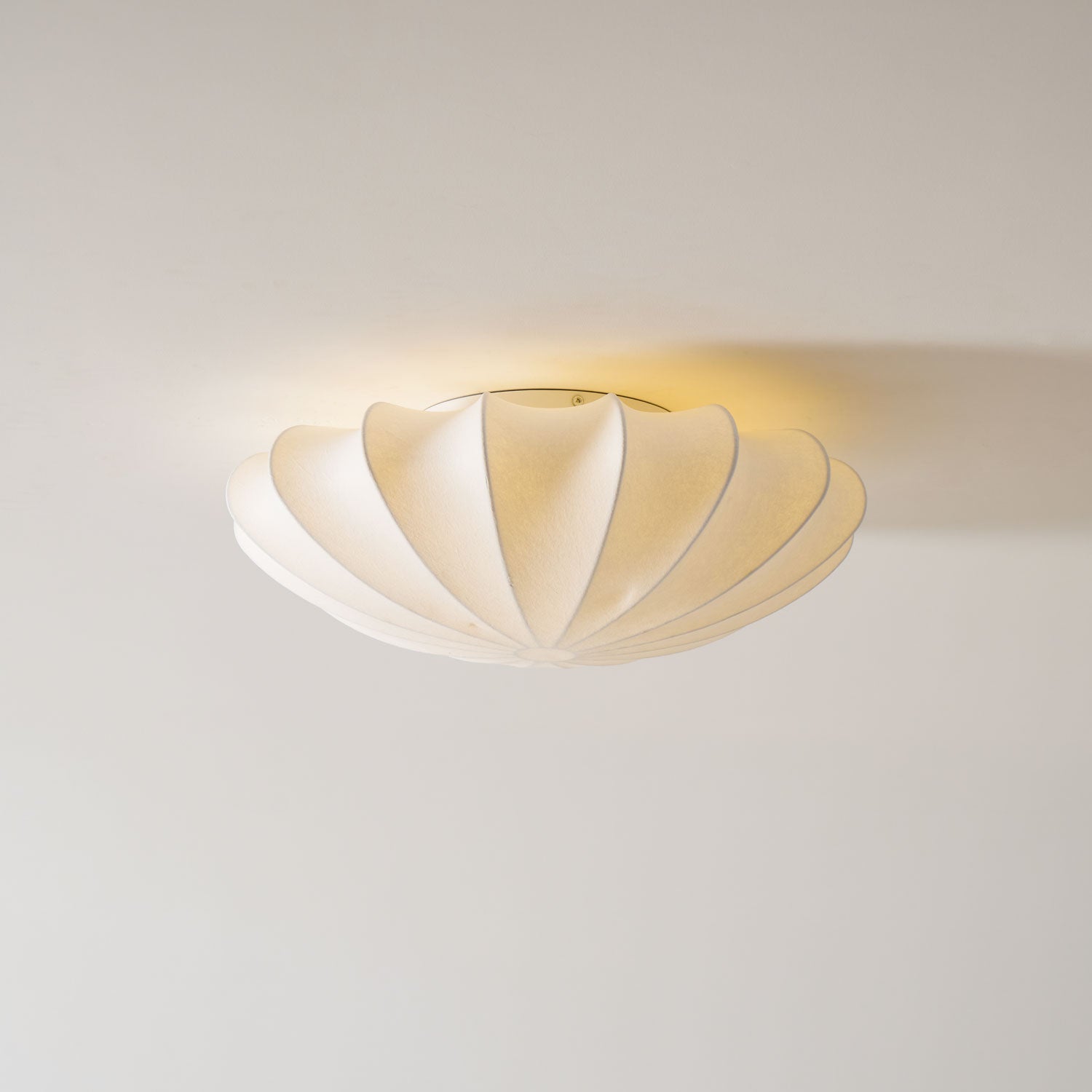 Selfon Ceiling Light