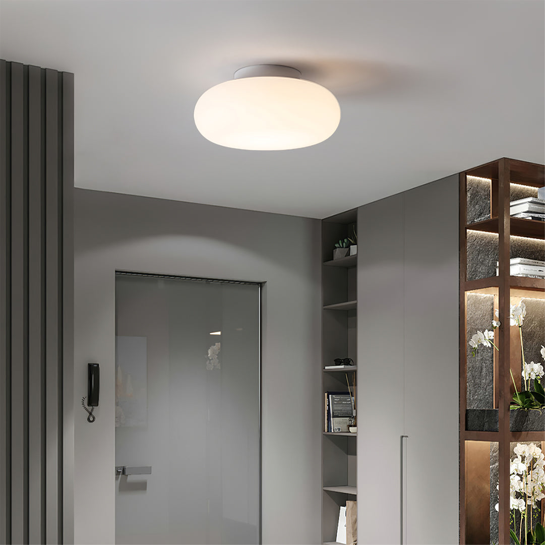 Univi Ellipsoid Ceiling Light