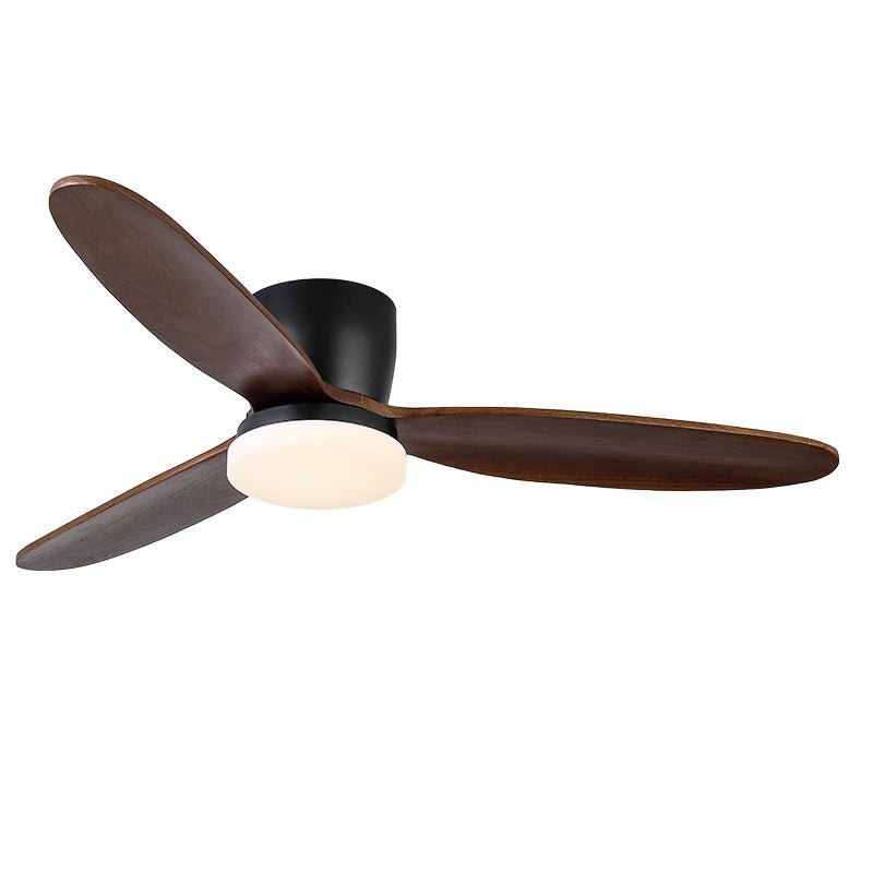 Norea Ceiling Fan Light
