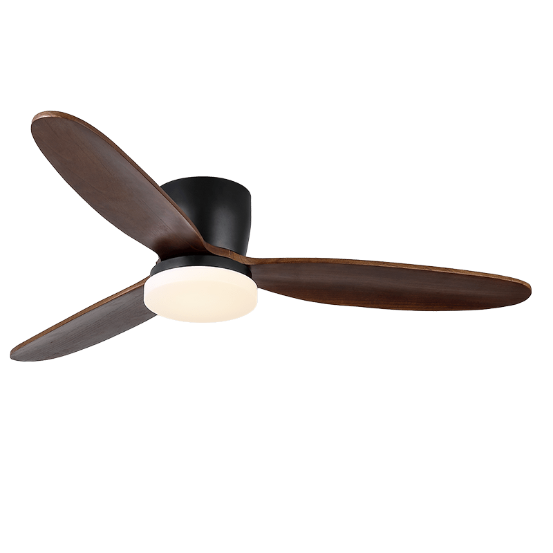 Norea Ceiling Fan Light