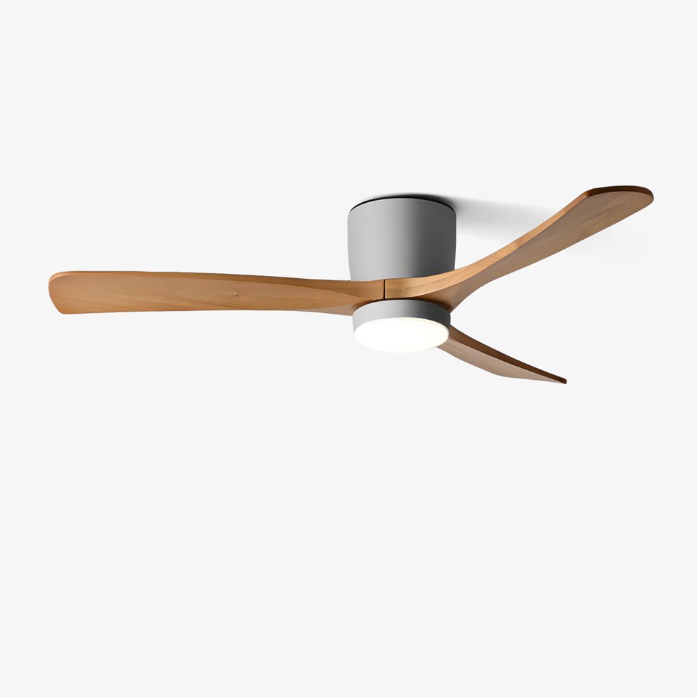 Evral Ceiling Fan