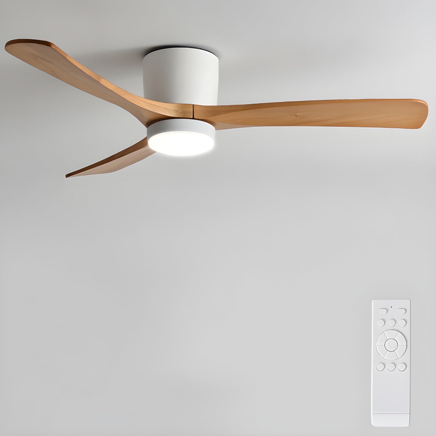 Evral Ceiling Fan
