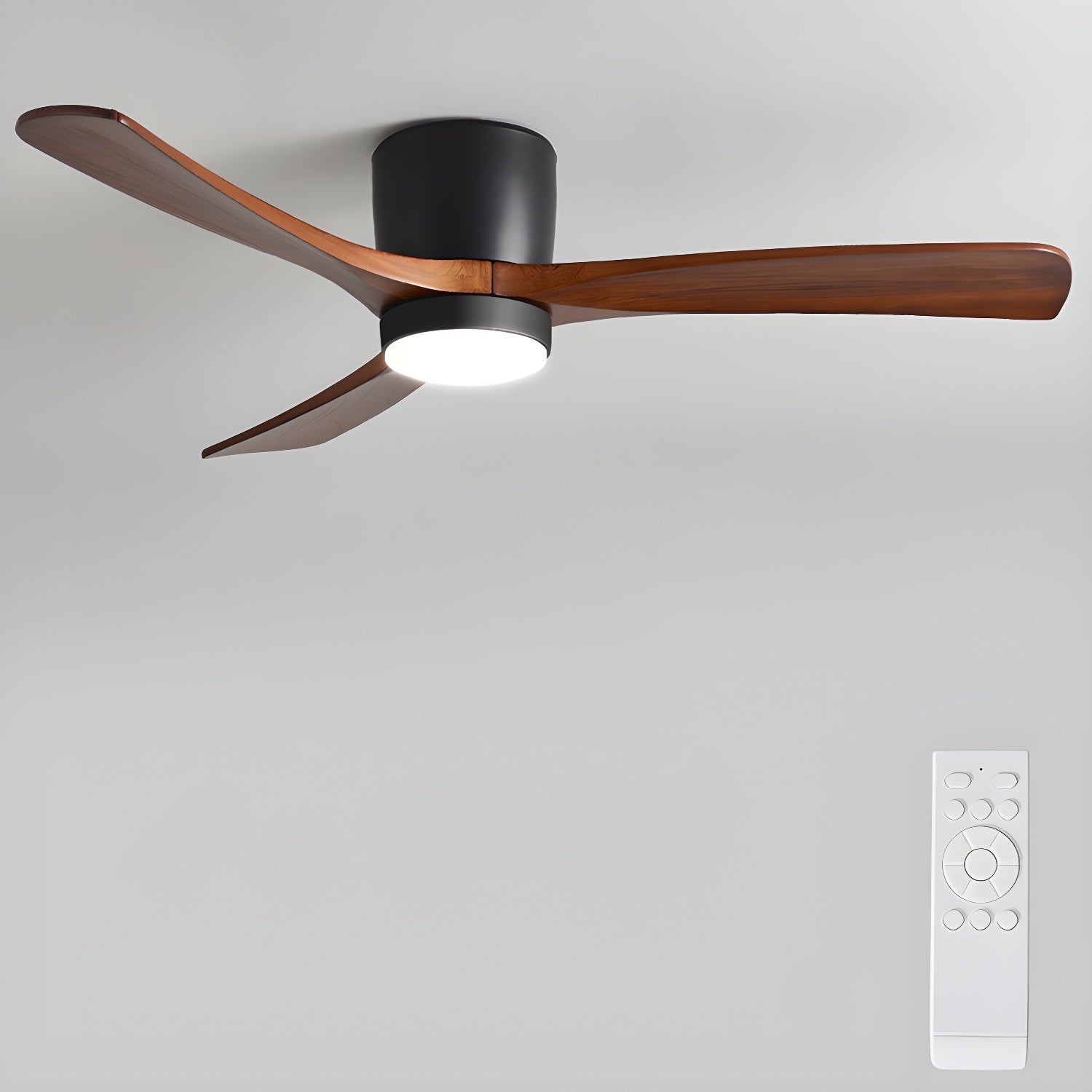 Evral Ceiling Fan