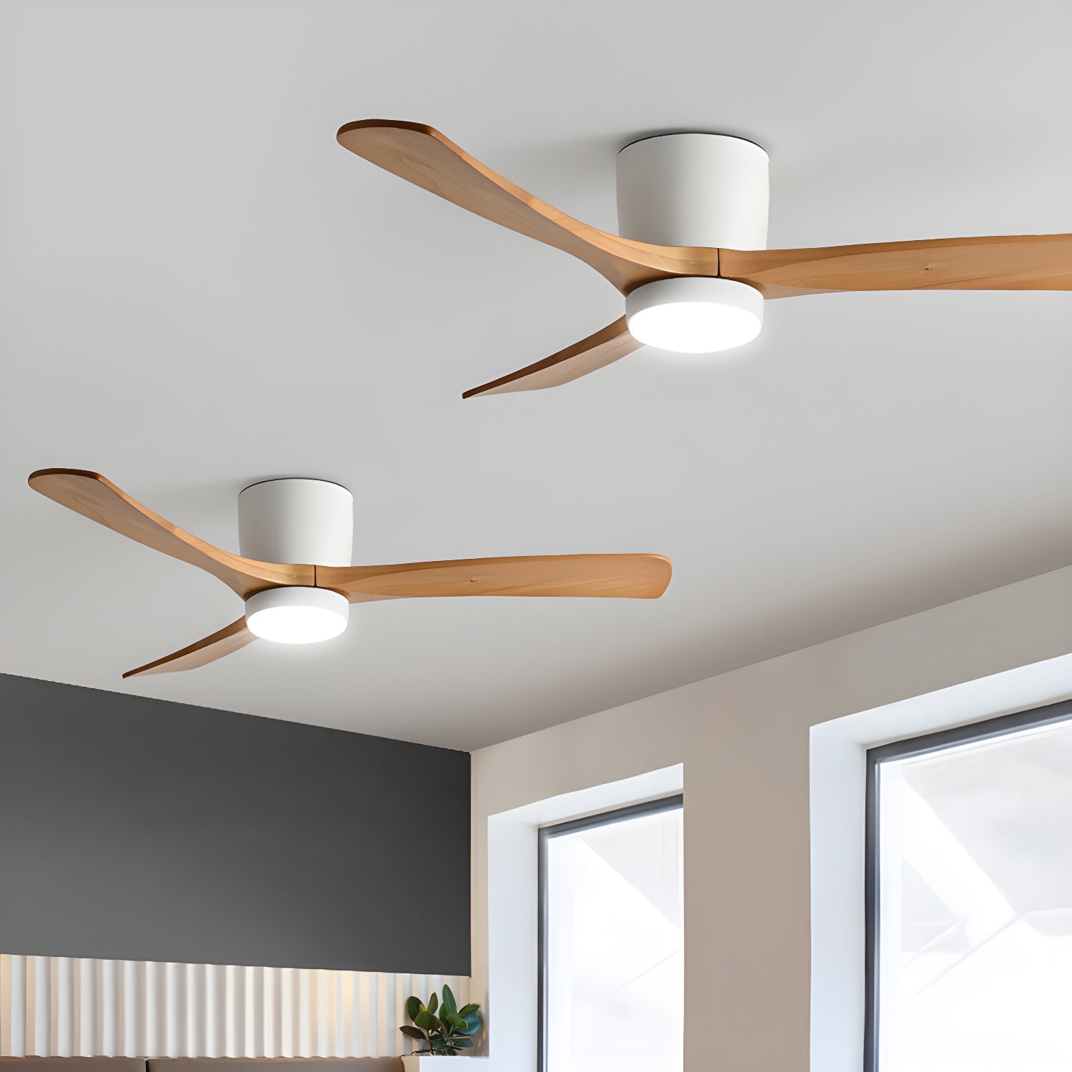 Evral Ceiling Fan