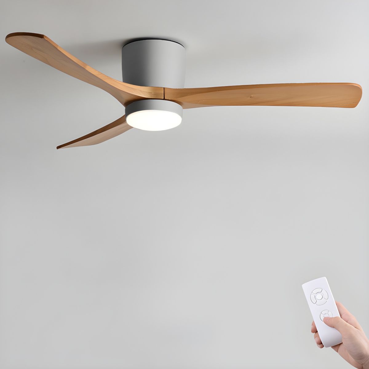 Evral Ceiling Fan
