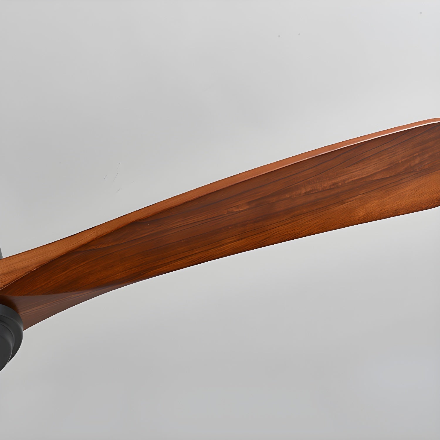 Evral Ceiling Fan