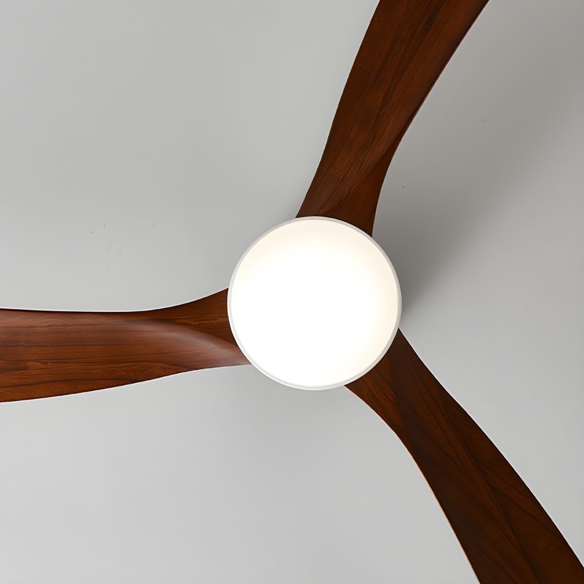 Evral Ceiling Fan