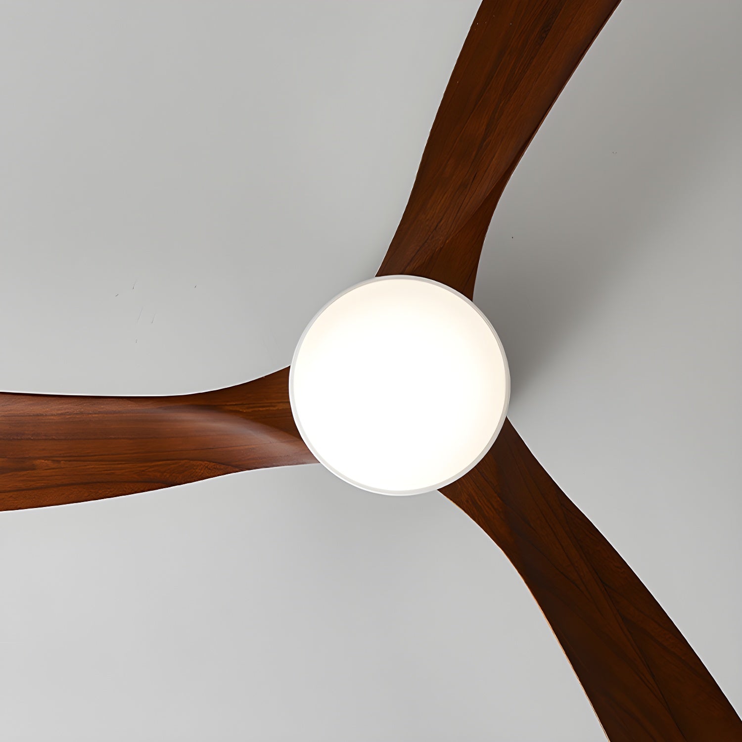 Evral Ceiling Fan