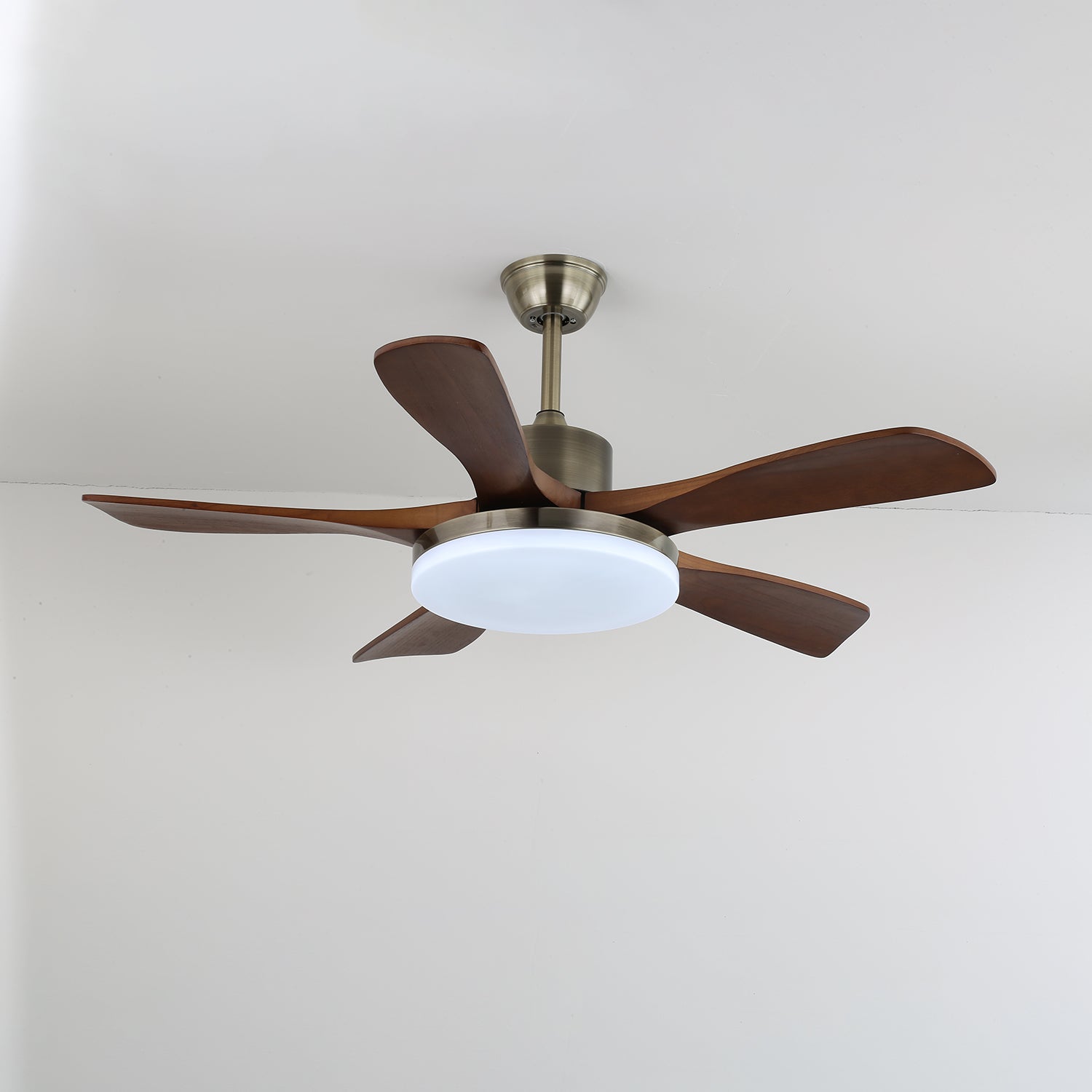 Leveza Ceiling Fan Light