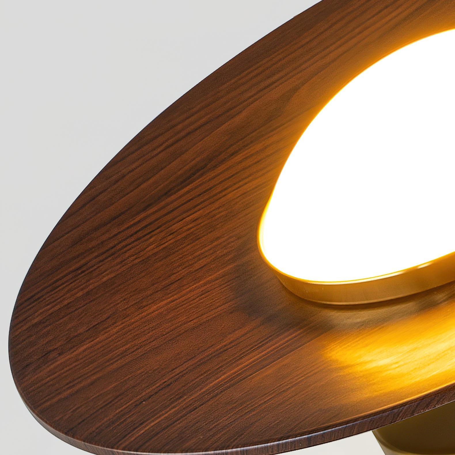 Olanon Round Ceiling Light
