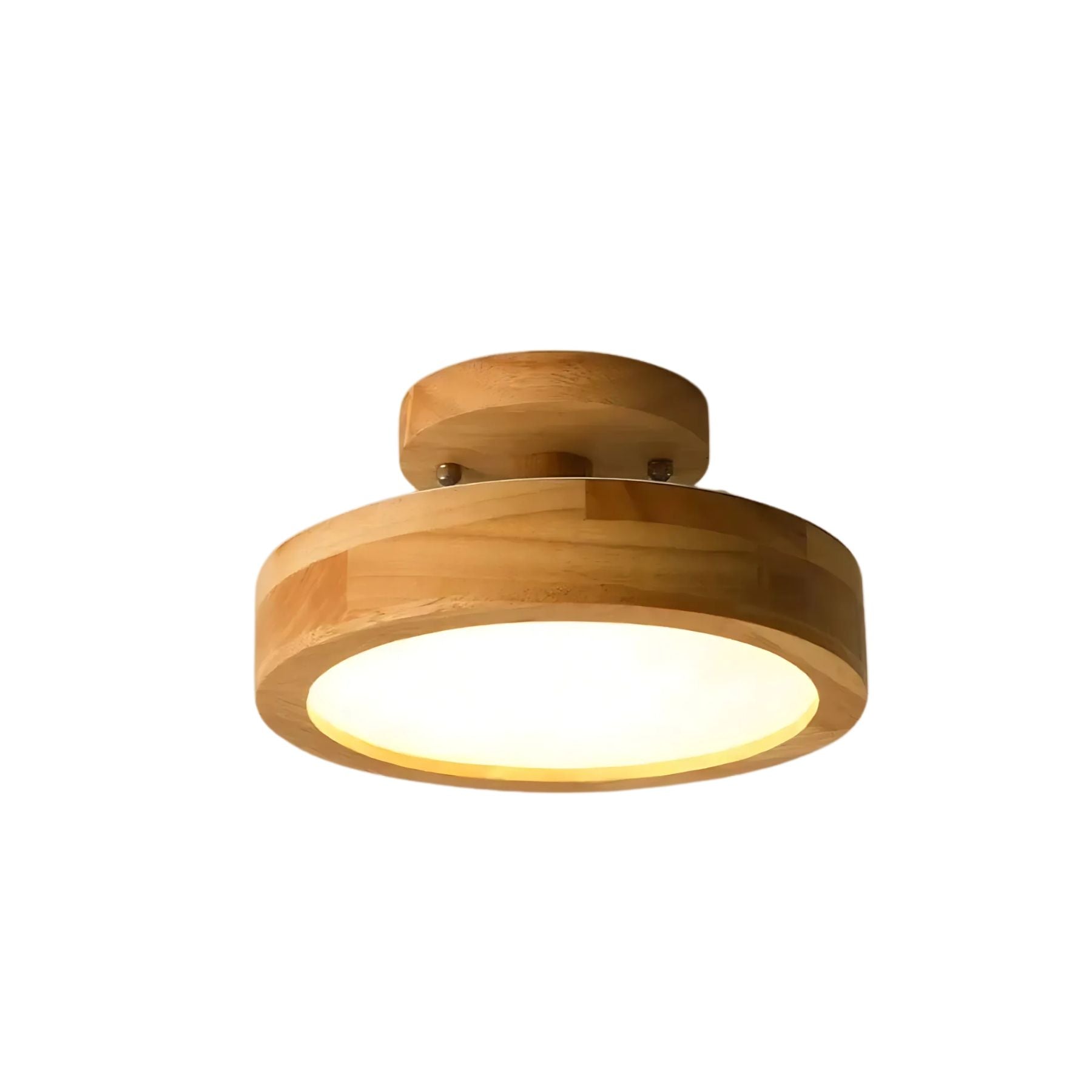 Pelezo Ceiling Light