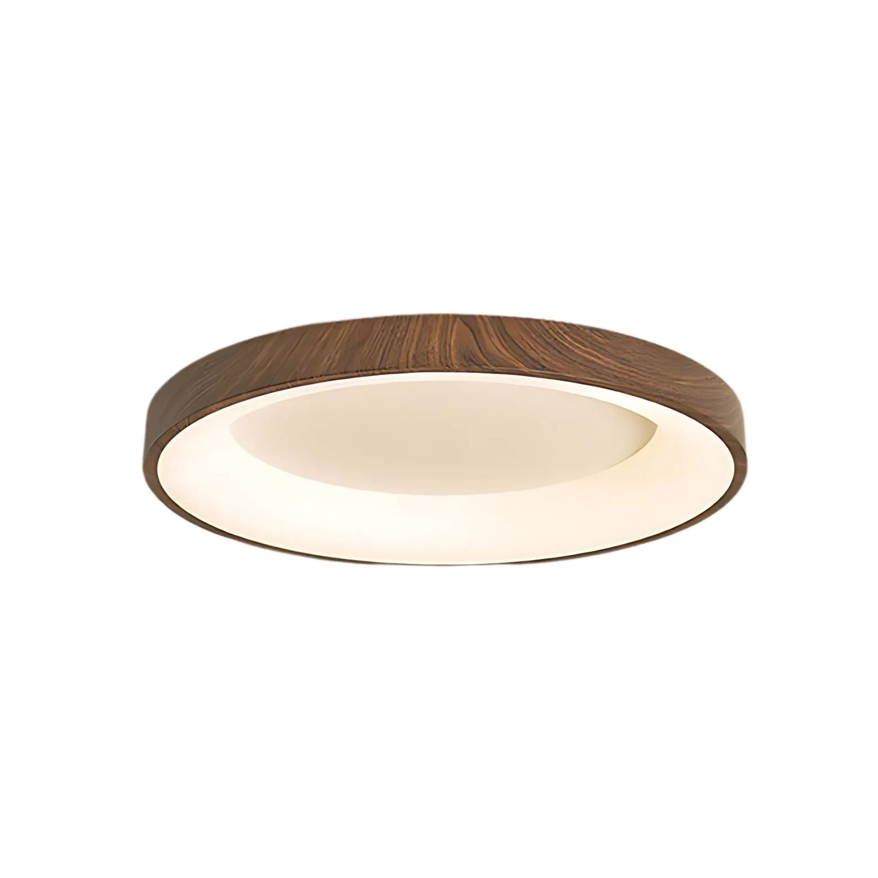 Olenera Ceiling Light